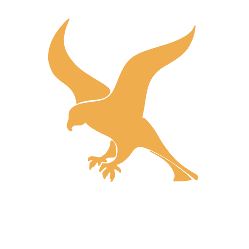 Falcon Snippets - Visual Studio Marketplace
